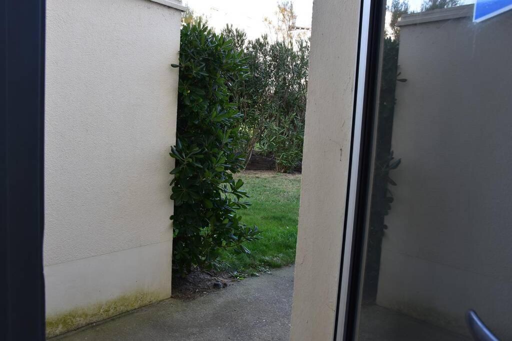 Les Goelettes - Appartement En Rdc Avec Acces Direct A La Plage Saint-Cyprien  Eksteriør bilde