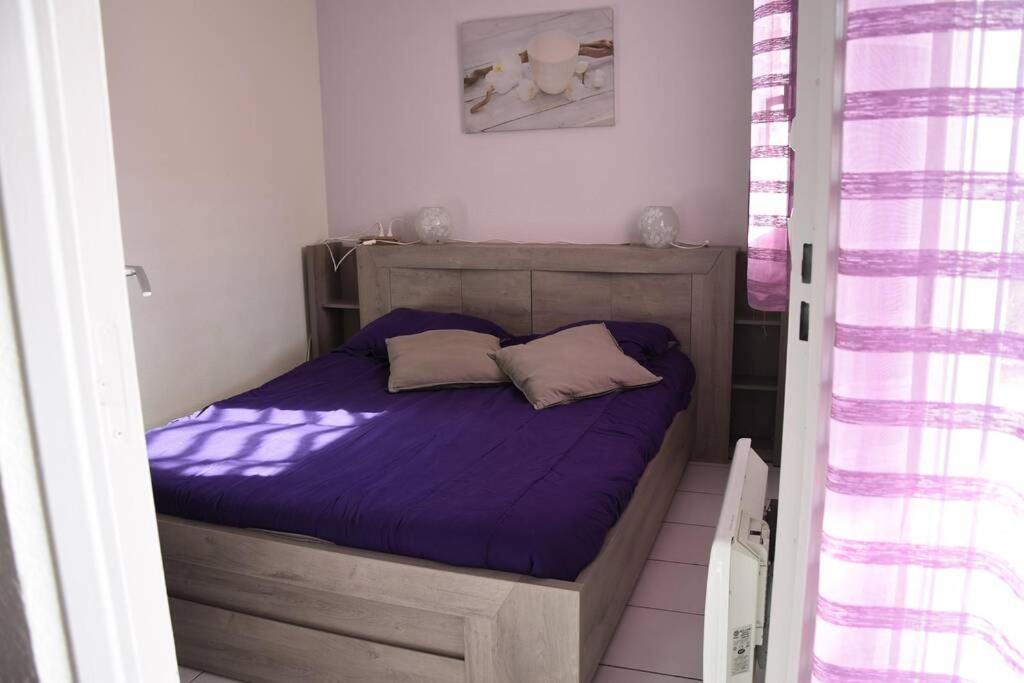 Les Goelettes - Appartement En Rdc Avec Acces Direct A La Plage Saint-Cyprien  Eksteriør bilde