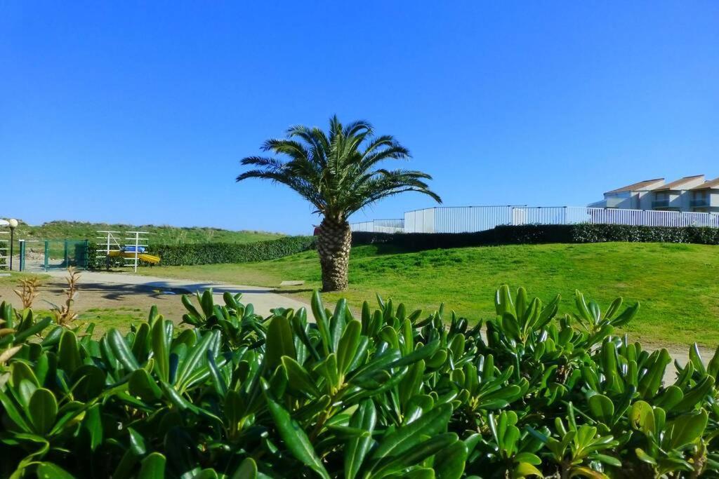 Les Goelettes - Appartement En Rdc Avec Acces Direct A La Plage Saint-Cyprien  Eksteriør bilde