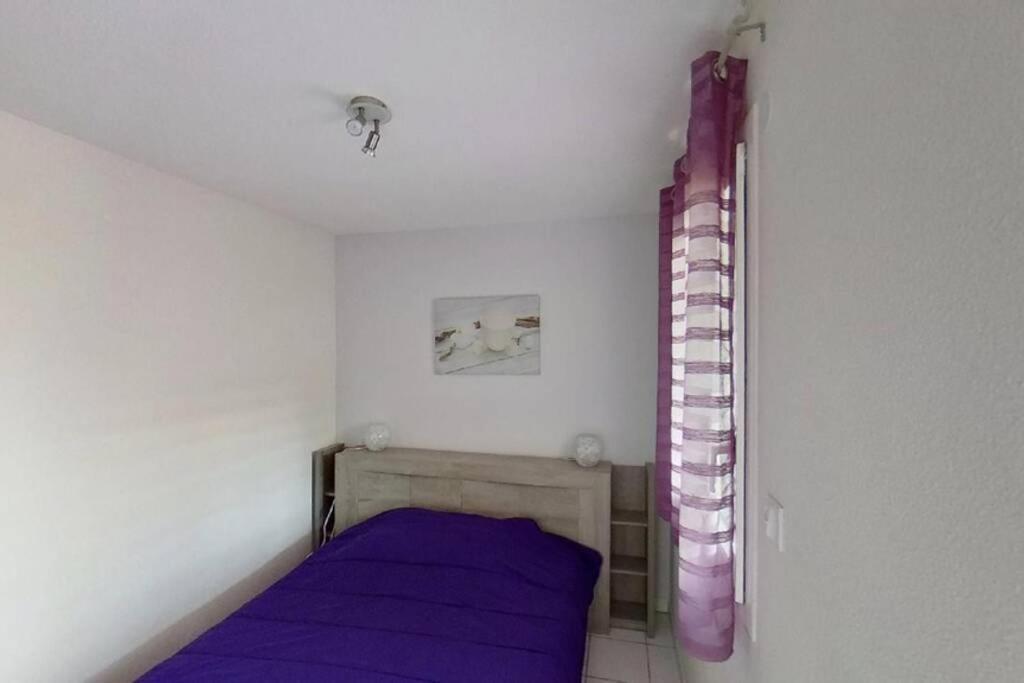 Les Goelettes - Appartement En Rdc Avec Acces Direct A La Plage Saint-Cyprien  Eksteriør bilde